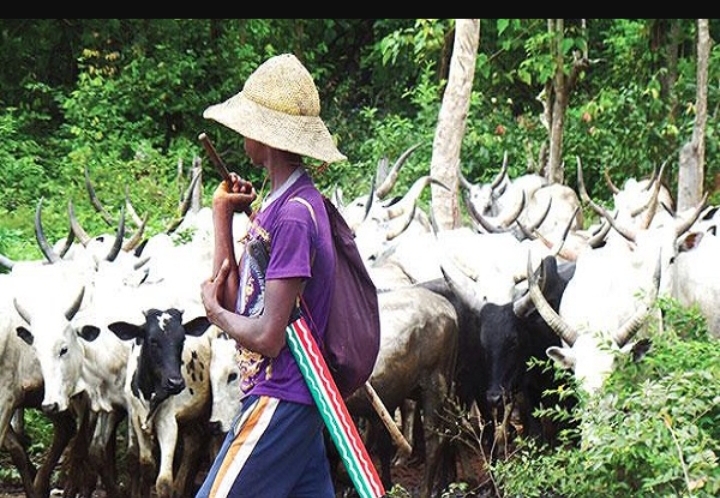 Fulani, OPC clash Leaves 4 Dead in Kwara State