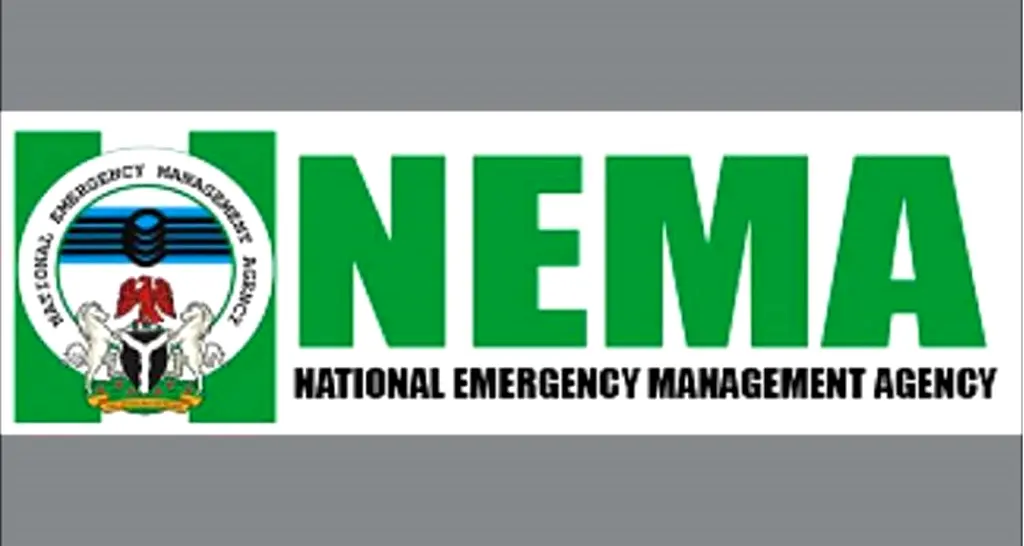 266 Stranded Nigerians Repatriated from Niger Republic