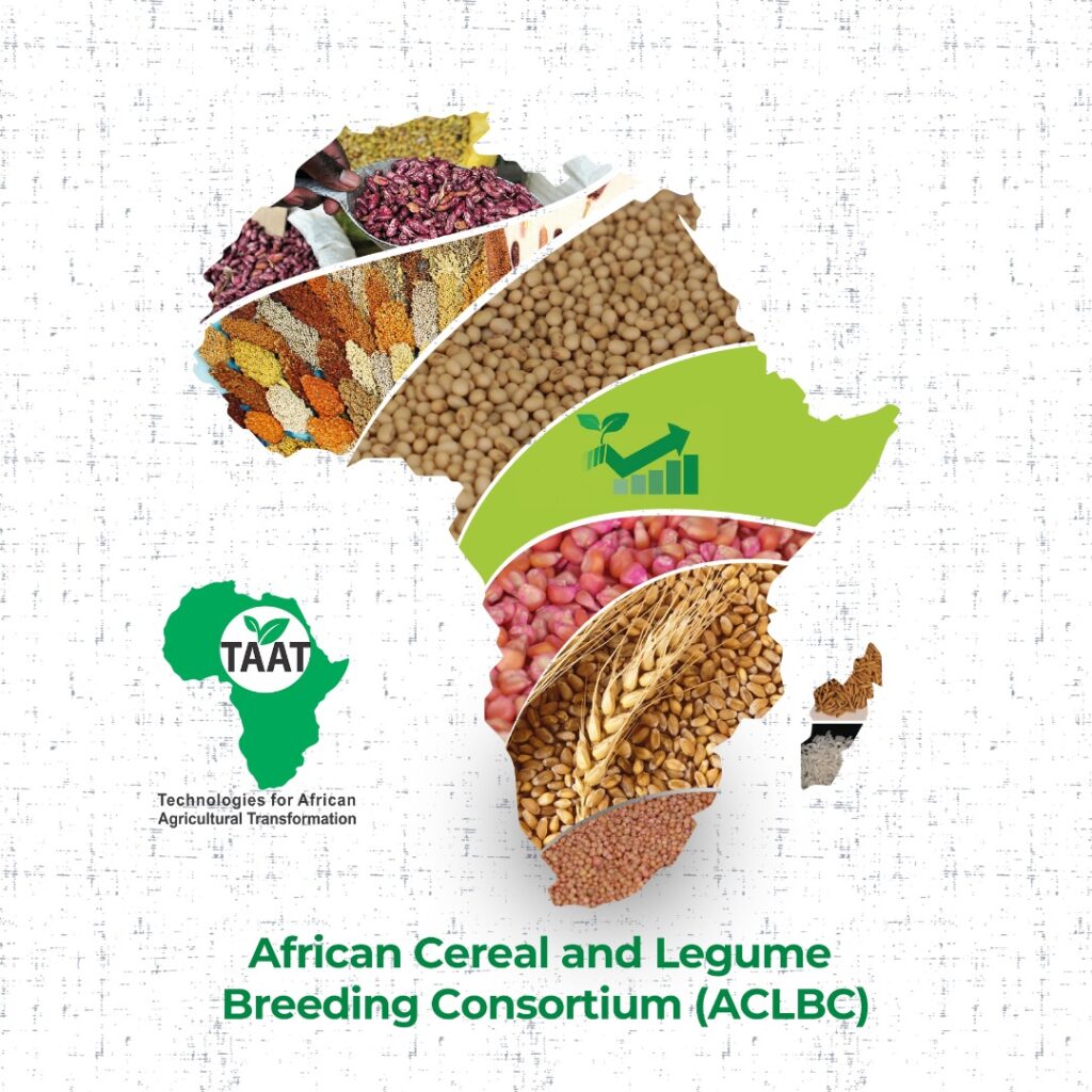 Towards a constructive engagement with the private sector through the African Cereal and Legume Breeding Consortium