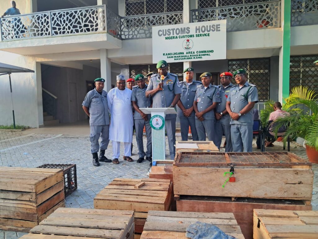 Kano Customs Seizes 48 Endangered Animals, arrests Three
