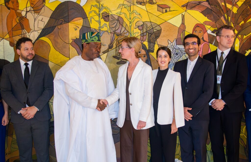 Nigeria Assumes Chair of UN Budget Committee, Jimoh Vows Accountability, Efficiency Reforms